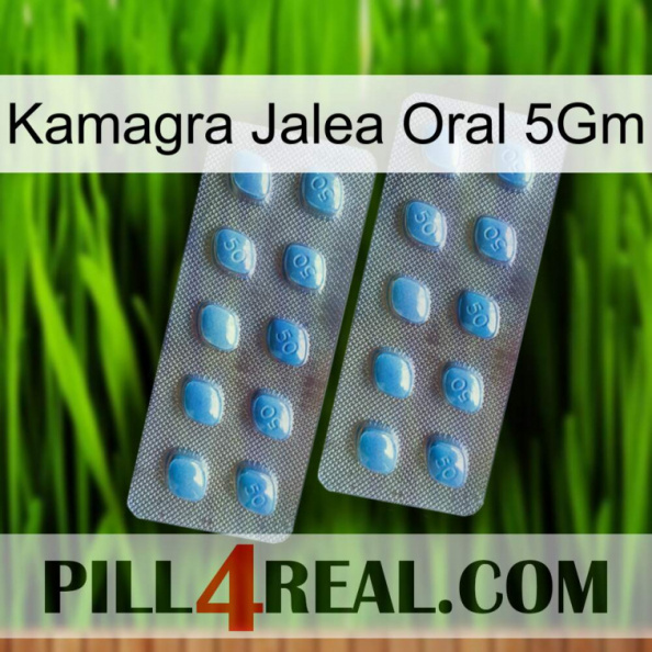 Kamagra Oral Jelly 5Gm viagra4.jpg